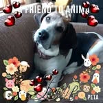 Noreen Brown - @noreen.brown.148 - Instagram