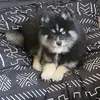 Norene Brown - @norene.brown2 - TikTok