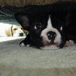 Noriko Smith - @globalnoriko - Instagram