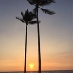 Noriko Smith - @smithnoriko - Instagram