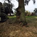Norine Clark - @nmclark68 - Instagram