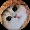 Ward Norine - @ward.norine - TikTok