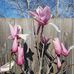 Norm Cook - Facebook