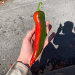 Norman Boyd - @norm.cooks - Instagram