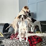 Norm Green - @norm_green - Instagram