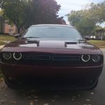 Norm Green - @norm.green.311 - Instagram