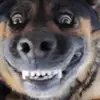 NormaHurst - @marcegntbn2 - TikTok