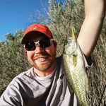 Norman N. Hurst - @norman_n_hurst - Instagram