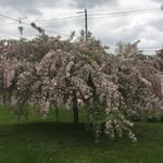 Norm Larson - @norm.larson.iii - Instagram