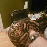 Norman Michaud - @norman.michaud.3956 - Instagram