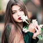 Norman Rosen - @normanrosen52 - Instagram