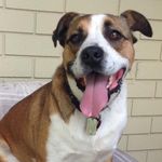 Norm Sharp - @norm.sharp60 - Instagram
