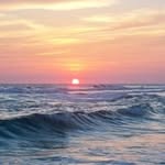 Norm Shaw - @norm.shaw.505 - Instagram