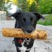 Norm Stewart - Facebook