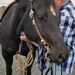 Norm Williamson - Facebook