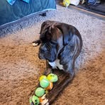 Norman Williamson - Facebook