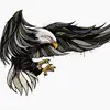 normwilson248 - @normwilson248 - TikTok