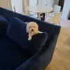 normwilson7. Wilson - @normwilson7 - TikTok