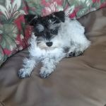 Norma Ackerman - @norma.ackerman.3 - Instagram