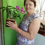 Norma Jann Acker - @normajannacker - Instagram