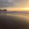 Norma Aldrich - @norma.aldrich - TikTok