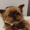 normaralston555 - @normaralston555 - TikTok