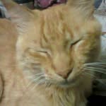 alan1522 - @normayolandaanchetamontesdeocs - Instagram