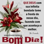 Norma Anselmo Medeiros - @normaanselmomedeiros - Instagram