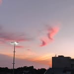 Norma Arreguin / - @nordtx - Instagram