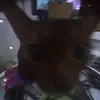 Normasher - @normasher5 - TikTok