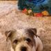 Norma Ashton - Facebook