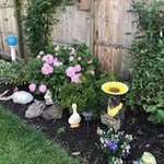 Norma Ashworth Dittiger - @dittigernorma - Instagram