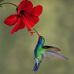 Norma frias avalos - Facebook