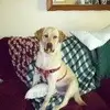 Norma Backus - @norma.backus - TikTok