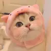 normanbackus - @normanbackus - TikTok