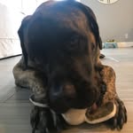 NORMAN MAGUIRE - @sirnormanofbadgerfield - Instagram