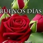 Norma Baltazar - @normabaltazar57 - Instagram