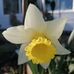 Norma Barr - Facebook