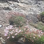 Norma Barrow - @barrow5927 - Instagram