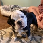 Norman “B” Bartholomew - @normanbbartholomew - Instagram