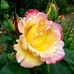 Norma Barton - Facebook