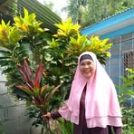 Bay Norma Ison - Facebook