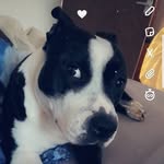 Macala Norma Ann Benton - @macalanormaann - Instagram