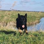 Agnes boury - @norma.berger_allemand_ - Instagram