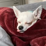 Norma berman - @normaberman123 - Instagram