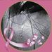 Norma Berumen - Facebook