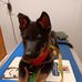 Norma Bock - Facebook