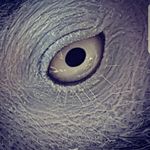 Norman Booker - @norman.booker1photography - Instagram