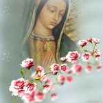 Norma Borja - @norma.borja.9066389 - Instagram