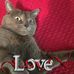 Norma Bowen - Facebook